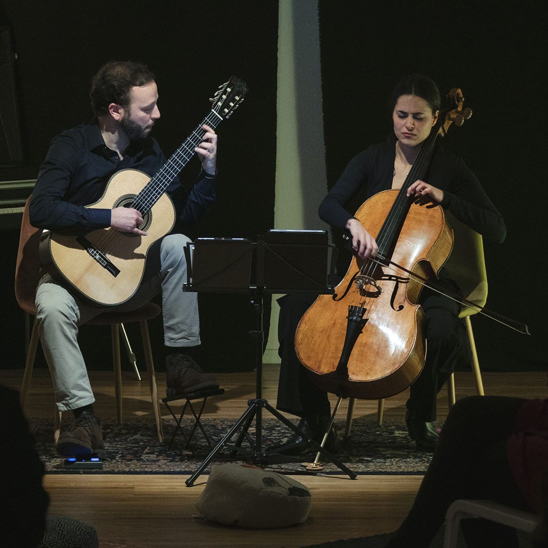 lezioni di musica online, Online Music Lessons, Musikunterricht Online